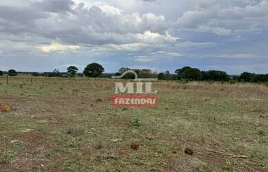 Imagem 3: Fazenda 57,3 alqueires 277,33 hectares São Miguel do Araguaia - Go
