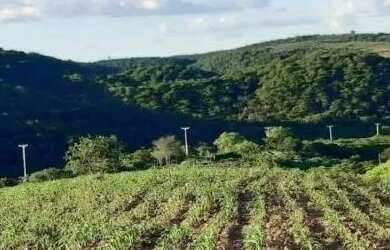 Imagem 8: Sítio localizado no Municípo Sítio do Quinto/BA