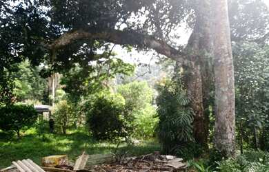 Imagem 11: Super terreno rico em água apenas 600 MTS do asfalto e ponto de ônibus