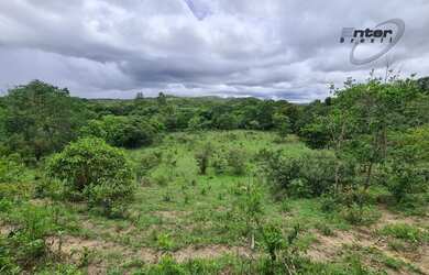 Imagem 9: Venda - Fazenda 24 hectares Brazlandia DF fazenda