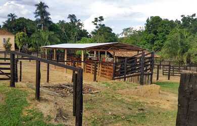 Imagem 7: Fazenda em Corumbaíba
