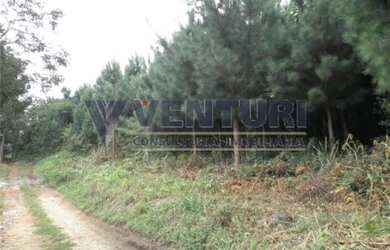 Imagem 2: ALMIRANTE TAMANDARé - Terreno Padrão - Mato Dentro