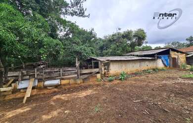 Imagem 15: Venda - Fazenda 24 hectares Brazlandia DF fazenda