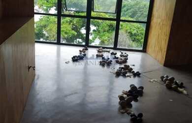 Imagem: O depósito possui 1 Vaga na garagem, 49m² de Área e está