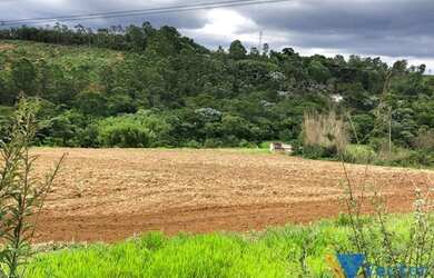 Imagem 3: Terreno a Venda no Bairro Fazenda Velha em Arujá