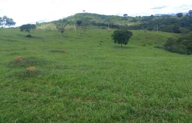 Imagem 1: Vendo fazenda. 