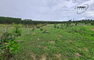 Imagem 8: Venda - Fazenda 24 hectares Brazlandia DF fazenda