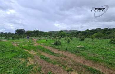 Imagem 10: Venda - Fazenda 24 hectares Brazlandia DF fazenda