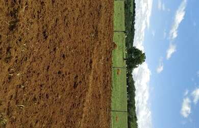 Imagem 6: Fazenda em piracanjuba. 100.000m² de Área