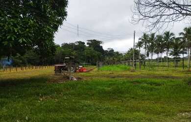 Imagem 13: Fazenda na pista Rodovia BR174, entre Km 60 e 63. 2.449ha com 3.900mts...