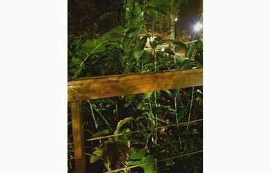 Imagem 5: Terreno à venda, 405 m² por R$ 729.000 - Jardins Barcelona - Uberlândia/MG