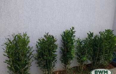 Imagem 4: Casa à venda, 62 m² por R$ 205.000,00 - Jardim Santa Catarina - Sorocaba/SP