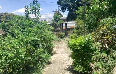 Imagem 14: Excelente terreno muito grande