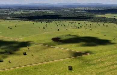 Imagem: A fazenda possui Piscina e está localizado em São Miguel do