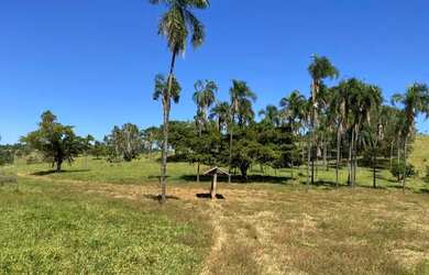 Imagem 3: Fazenda 302 alq. Em são Luiz Goiás e Ivolândia, valor 75 milhões