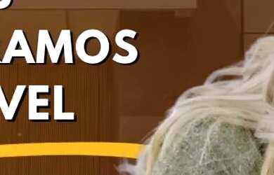 Imagem 14: Vendo Casa Duplex no Centro de Ananindeua