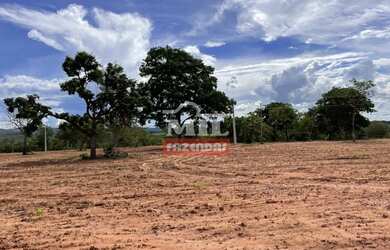 Imagem 7: Fazenda 147,3 alqueires 713 hectares Bom Jardim de Goiás