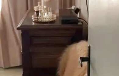 Imagem 14: Apartamento para Venda em Volta Redonda / RJ no bairro Retiro