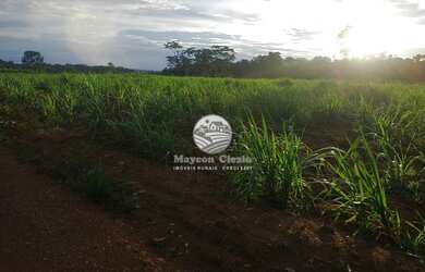 Imagem: Machadinho D x27 Oeste - Fazenda - 11.2 Alqueires Pronta Confinamento
