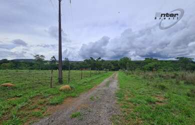 Imagem 11: Venda - Fazenda 24 hectares Brazlandia DF fazenda