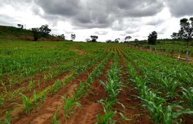 Imagem: A fazenda possui 231m² de Área, Piscina e está localizado