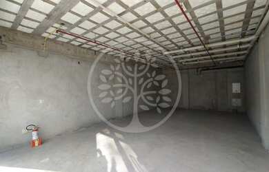 Imagem 9: Salão Comercial - Ribeirão Preto - Jardim São Luiz