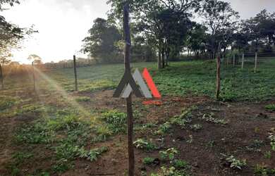 Imagem 6: Terreno 10.000 m² 100 aproveitável