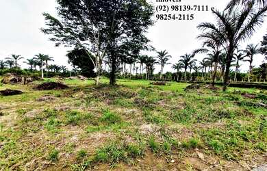 Imagem 4: Lote/Terreno para venda tem 1500 metros quadrados em Zona Rural - Iranduba...