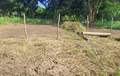 Imagem 5: Vendo ou troco terreno por moto ou carro