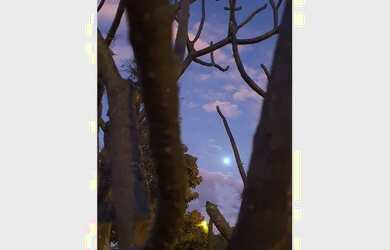 Imagem 12: Terreno à venda, 405 m² por R$ 729.000 - Jardins Barcelona - Uberlândia/MG