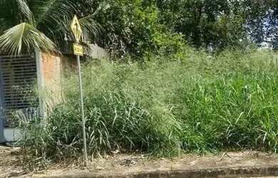 Imagem: O terreno está localizado em Plano Diretor Sul, Palmas à venda