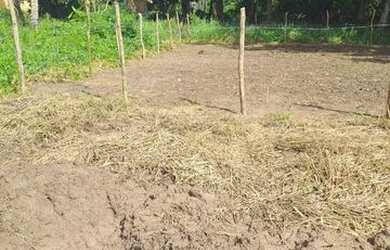 Imagem 2: Vendo ou troco terreno por moto ou carro