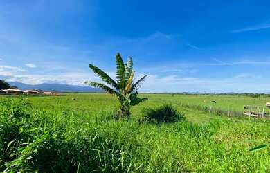 Imagem 13: CASA RESIDENCIAL em PAULO LOPES - SC, Gamboinha