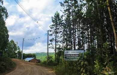 Imagem 4: Terreno - Bairro Linha Ávila