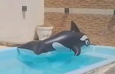 Imagem: A casa possui 2 Dormitórios, Acomodam 8 pessoas, 2 Vagas na