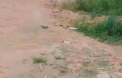 Imagem 2: Pequena casa 6x6. 36m² de Área, 1 Banheiroe1 Dormitório