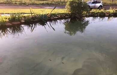 Imagem 9: Terreno à venda no bairro Estância Vargem Bonita em Senador Canedo/GO