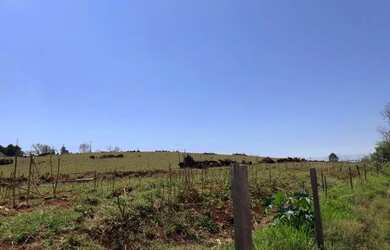 Imagem: A chácara possui 60.000m² de Área e está localizado em