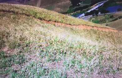 Imagem 11: Fazenda - 100 alqueires - Pasto Braquiara, Pedreira, água rio Paraíba