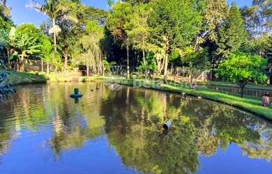Imagem: O terreno está localizado em Jardim Albino Biachi, Apucarana