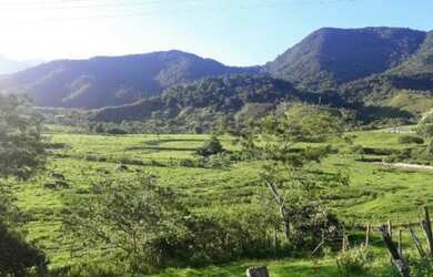 Imagem: A fazenda possui 300m² de Área e está localizado em Casimiro