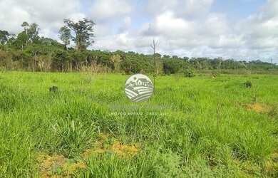 Imagem 6: Candeias do Jamari - Fazenda - 84 Alqueires Barato