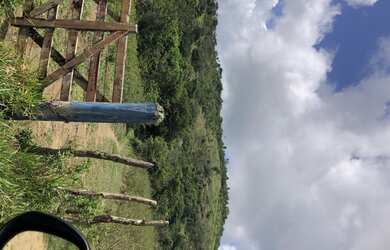 Imagem 4: VENDO FAZENDA 127 hectares