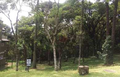 Imagem: O terreno possui 595m² de Área e está localizado em Canela