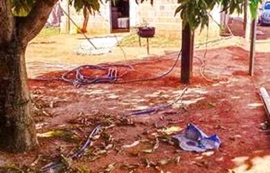 Imagem: A casa em condomínio possui 2 Dormitórios, 1 Banheiro, 2 Vagas