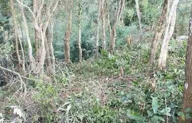 Imagem 2: Vendo terreno de 569 m2. 569m² de Área