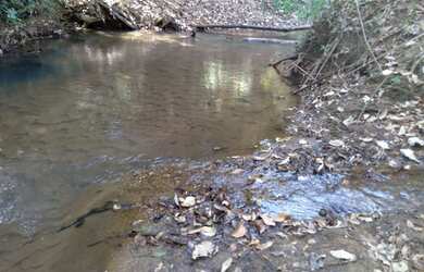 Imagem 9: Fazenda em piracanjuba. 100.000m² de Área