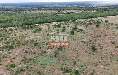 Imagem 11: Fazenda 57,3 alqueires 277,33 hectares São Miguel do Araguaia - Go