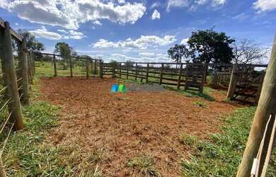 Imagem 7: FAZENDA À VENDA - 166 HECTARES - REGIÃO DE CURVELO MG