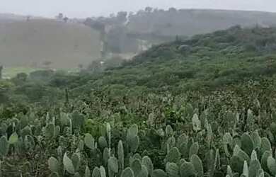 Imagem 6: Sítio localizado no Municípo Sítio do Quinto/BA